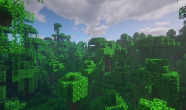 BSL Shaders